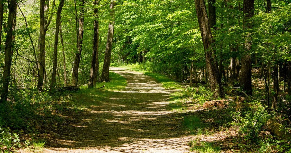 Pourquoi le GR37 est le sentier préféré des français en 2024 ? 4 forêt de brocéliande au coeur de la bretagne sur le GR37