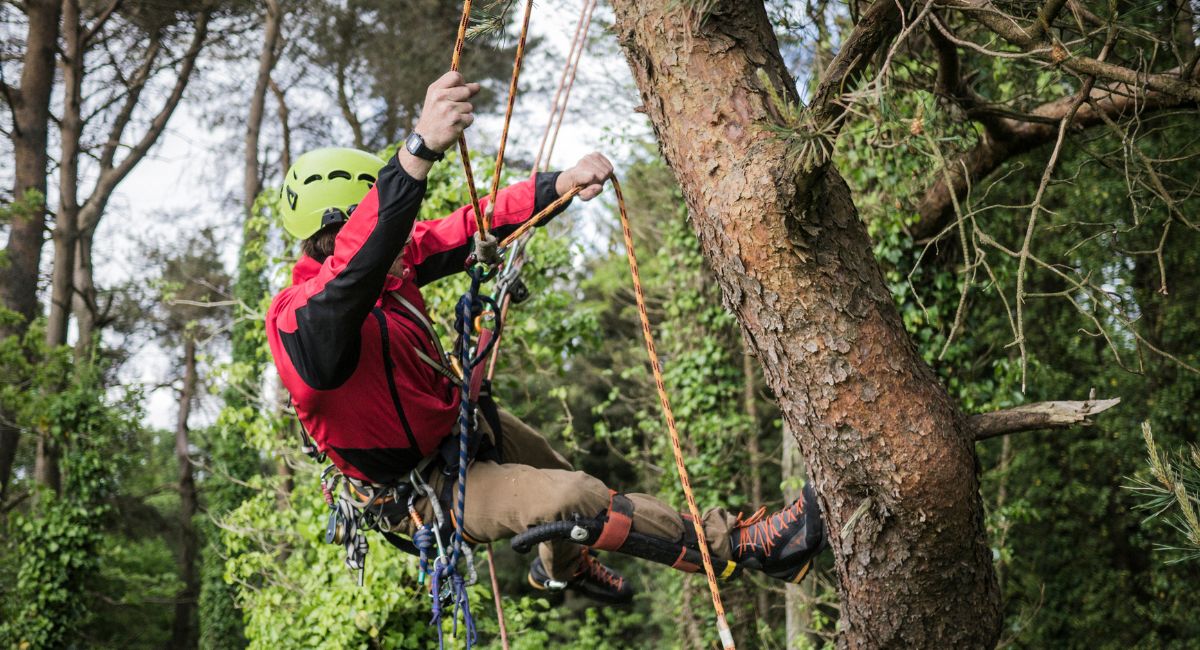 Comment préparer vos enfants pour leur première aventure accrobranche ? 2 matériel nécessaire pour accrobranche