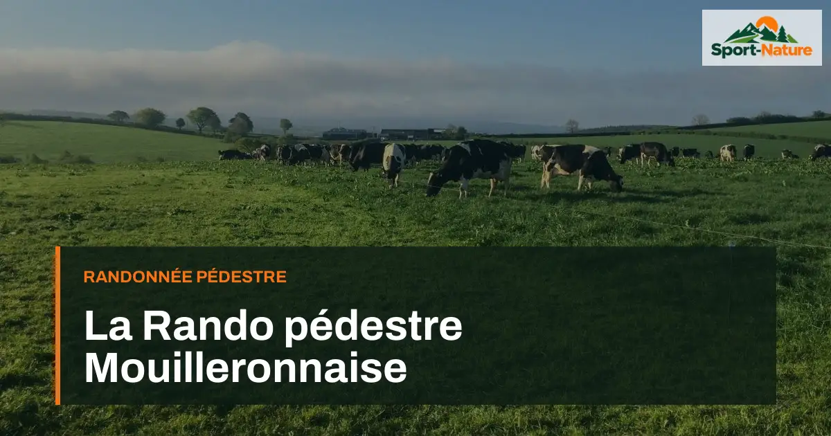 La Rando pédestre Mouilleronnaise