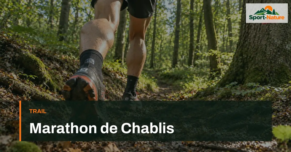 Marathon de Chablis