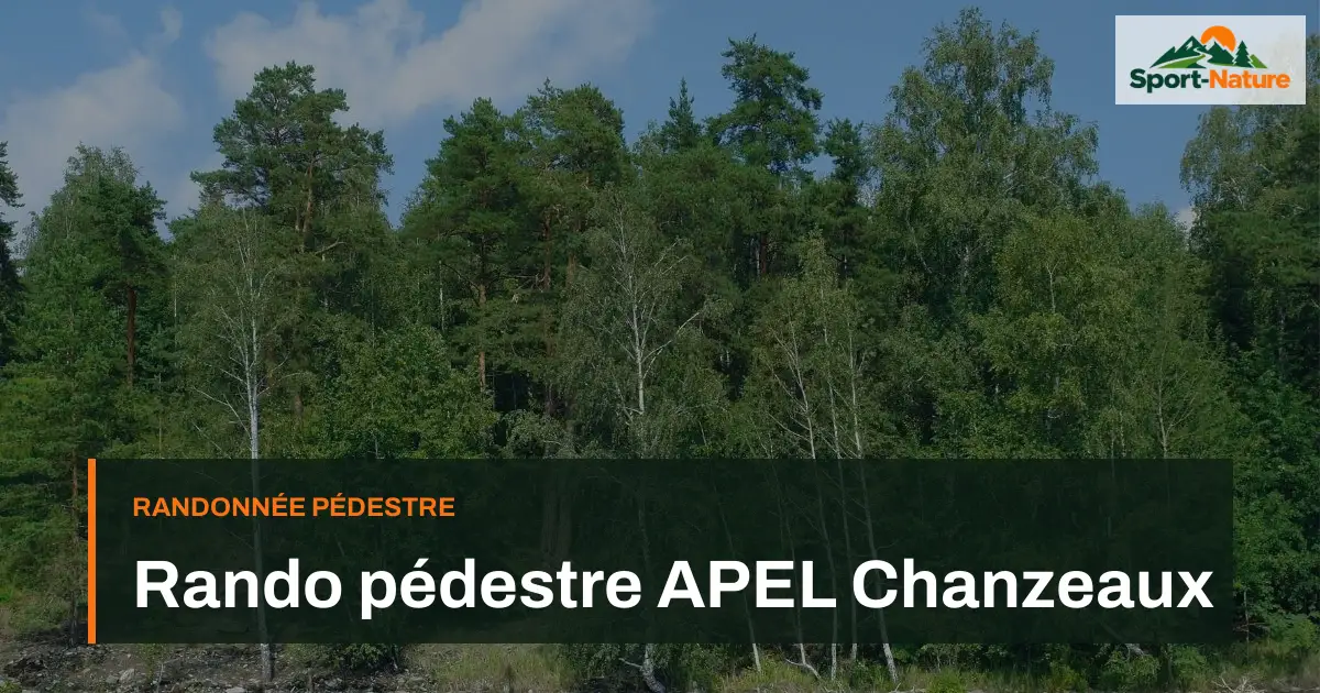 Rando pédestre APEL Chanzeaux