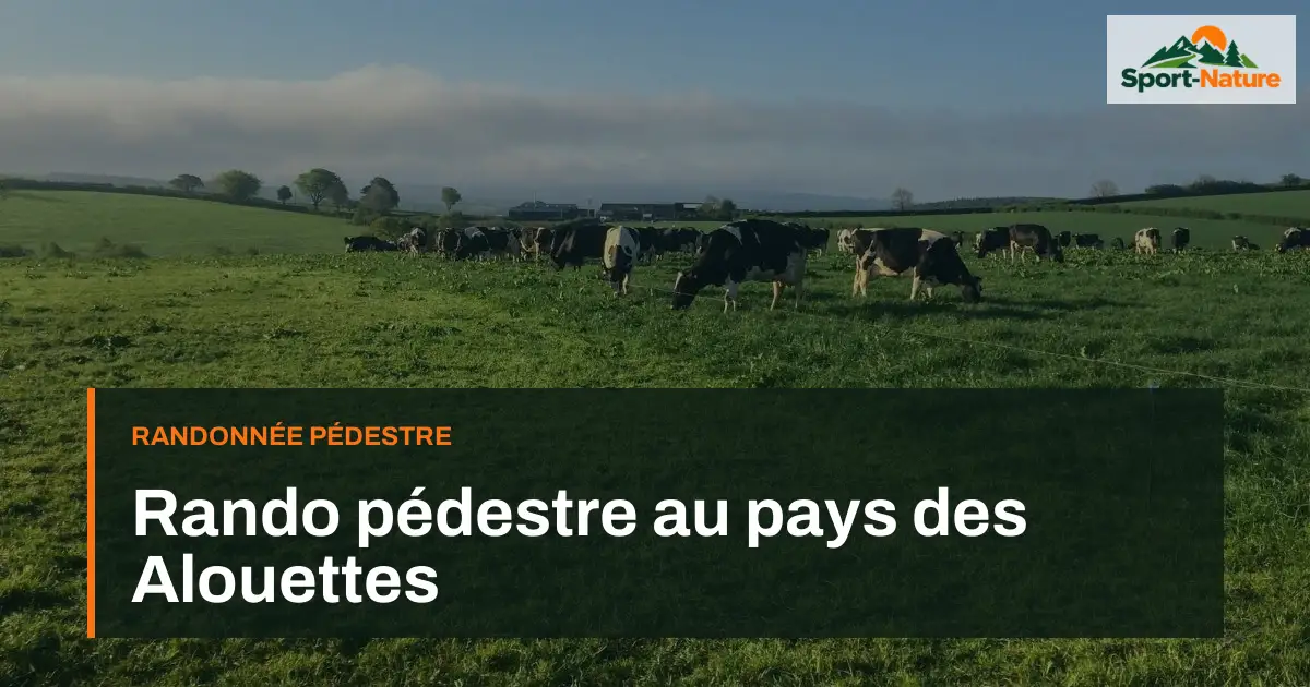 Rando pédestre au pays des Alouettes