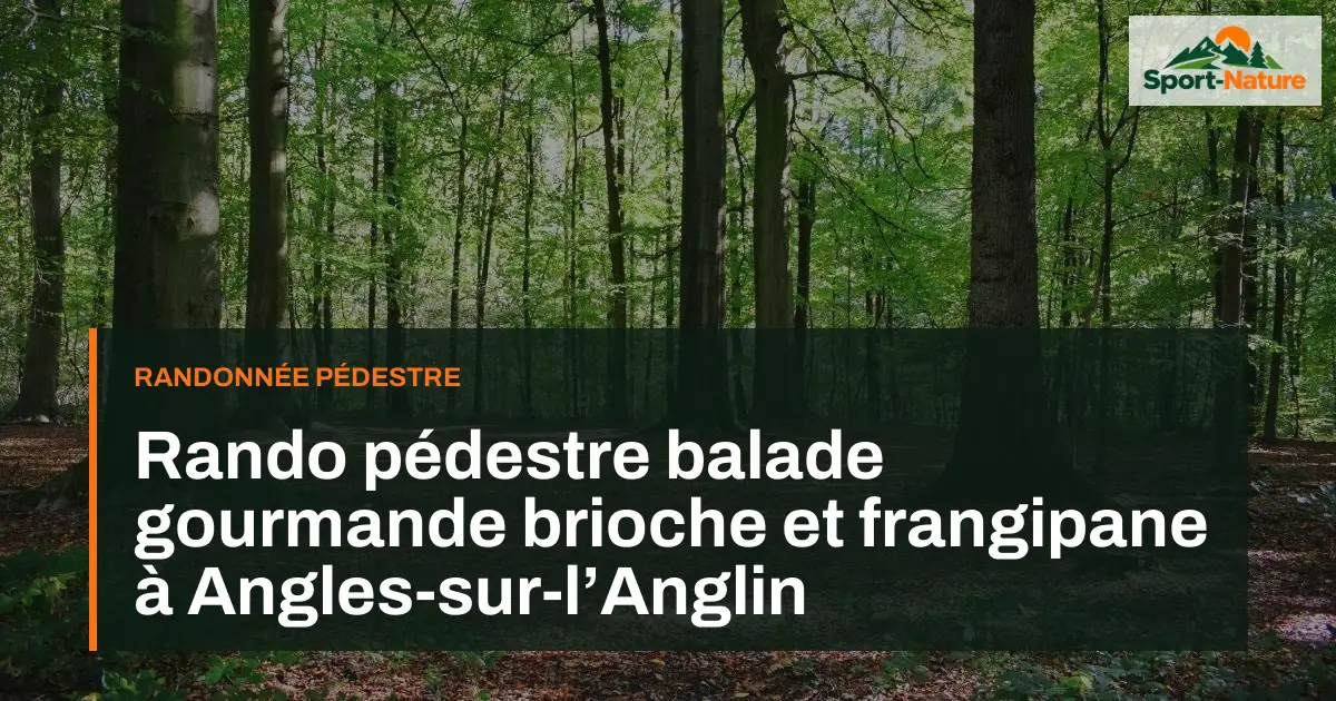 Rando pédestre balade gourmande brioche et frangipane à Angles-sur-l’Anglin
