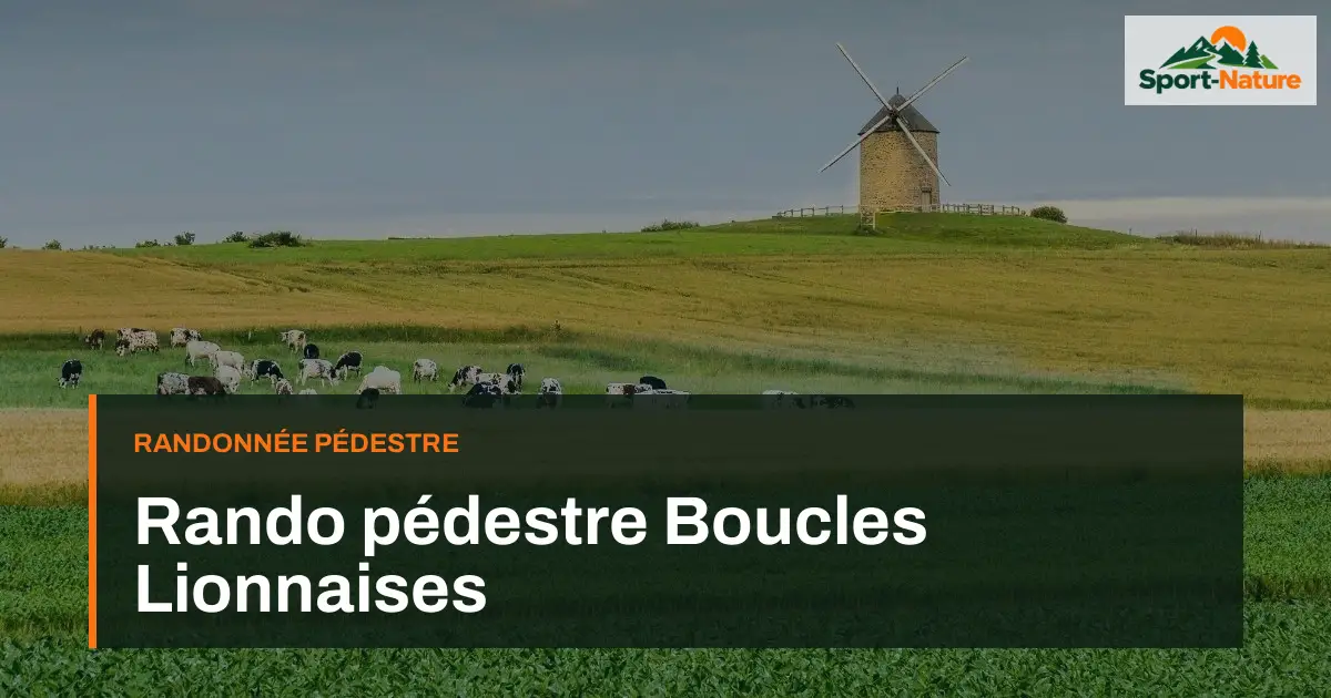 Rando pédestre Boucles Lionnaises