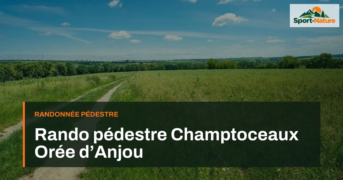 Rando pédestre Champtoceaux Orée d’Anjou