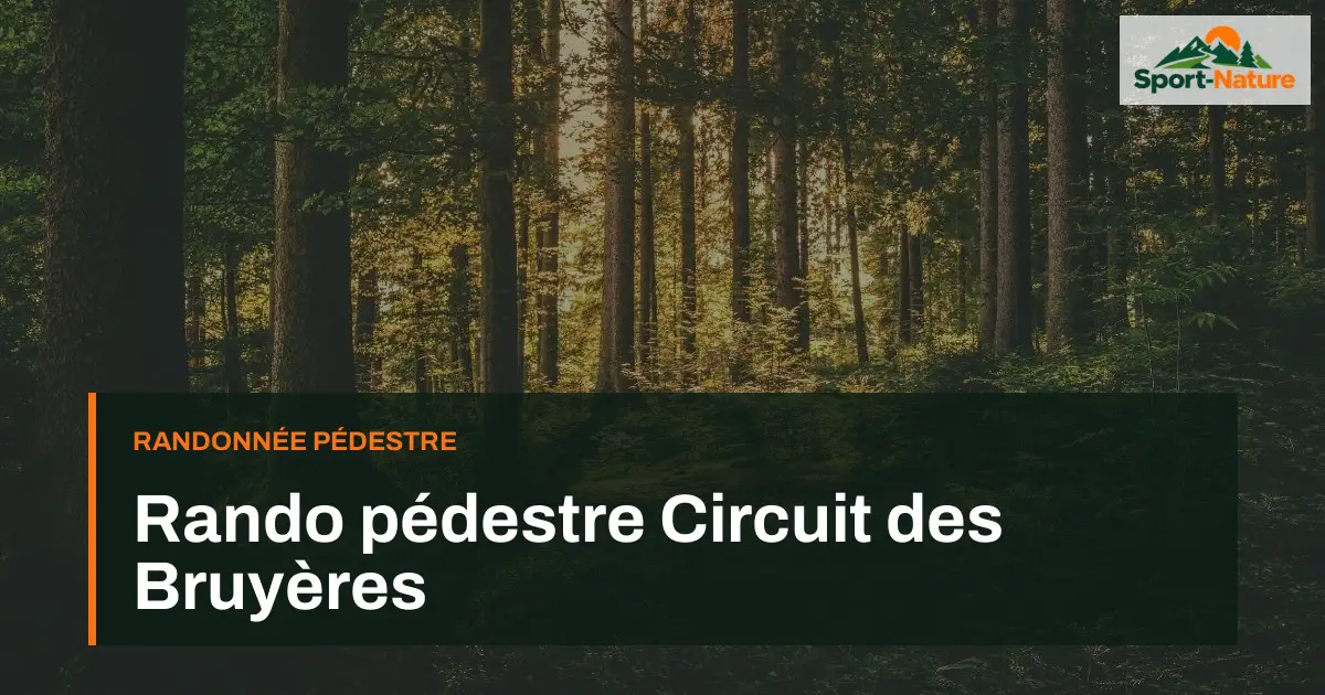 Rando pédestre Circuit des Bruyères