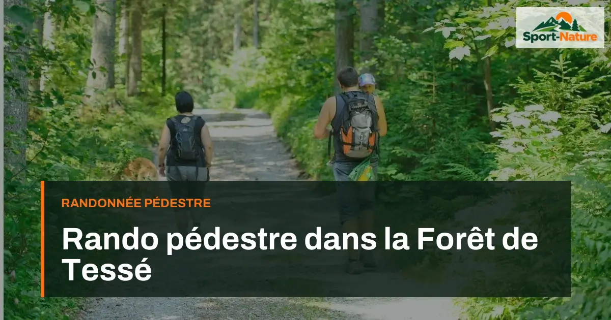 Rando pédestre dans la Forêt de Tessé