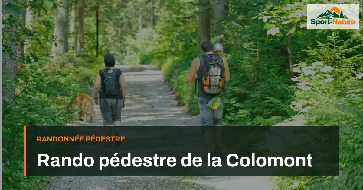Rando pédestre de la Colomont