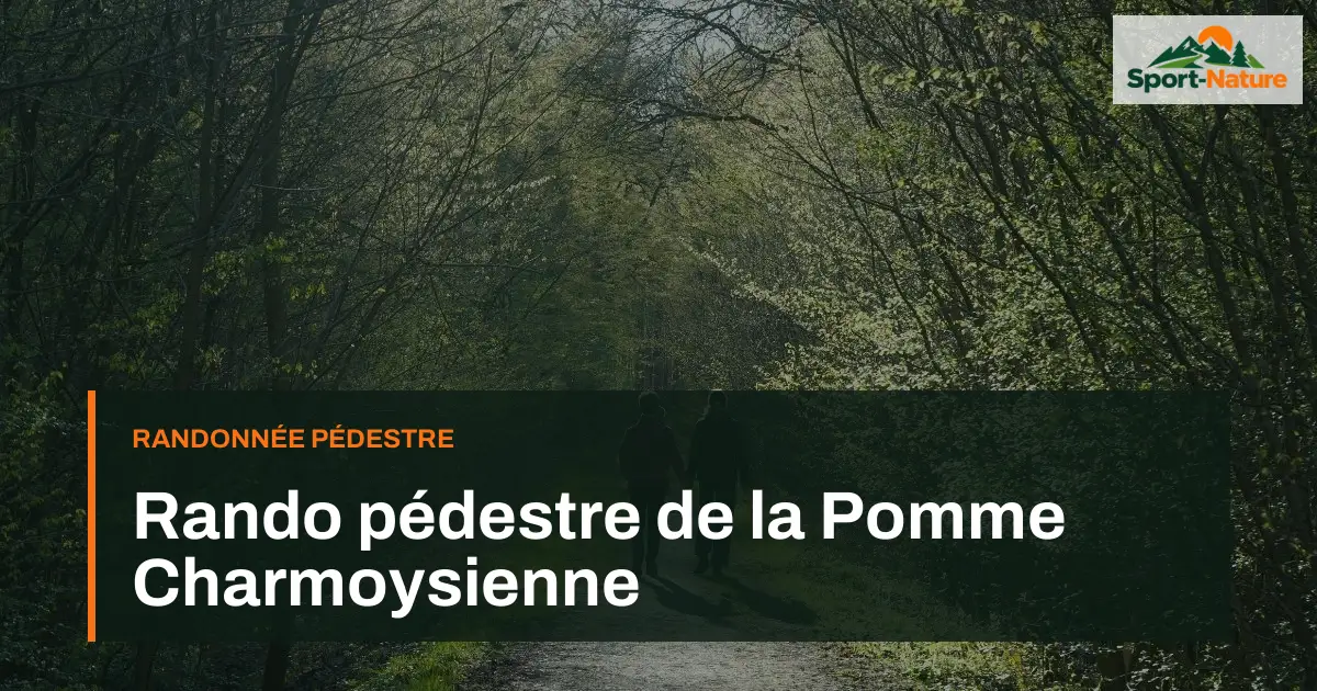 Rando pédestre de la Pomme Charmoysienne