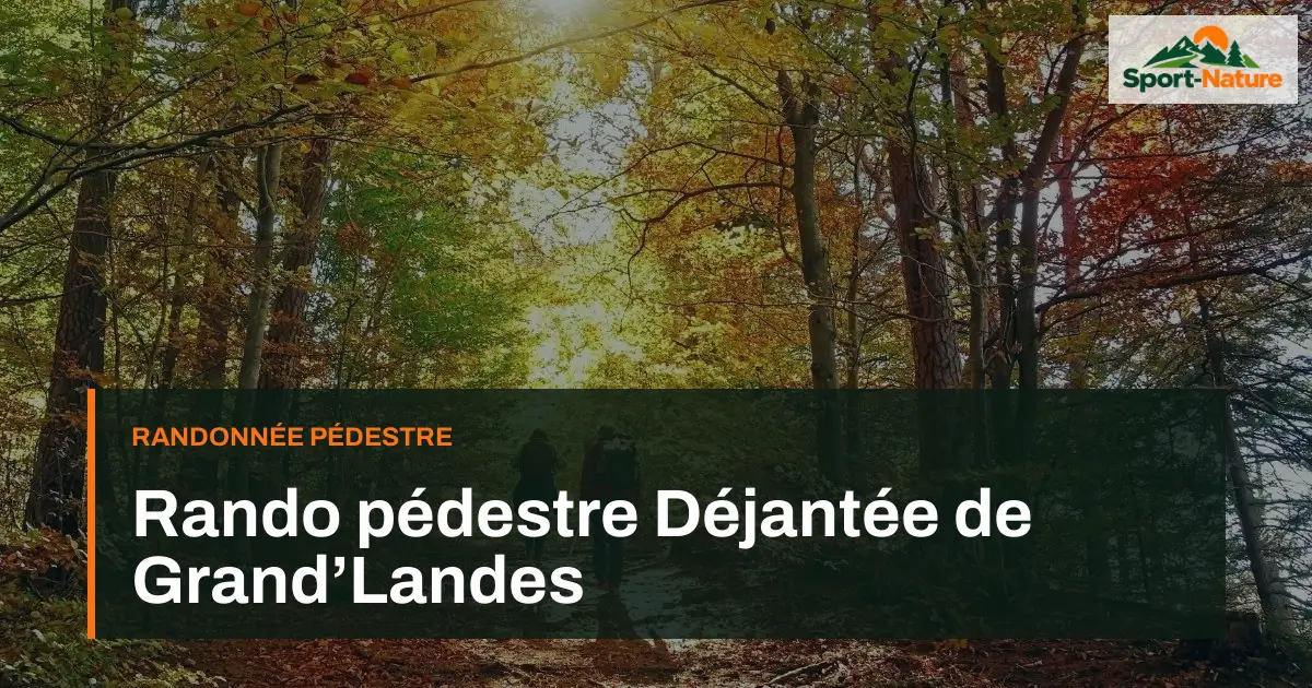 Rando pédestre Déjantée de Grand’Landes