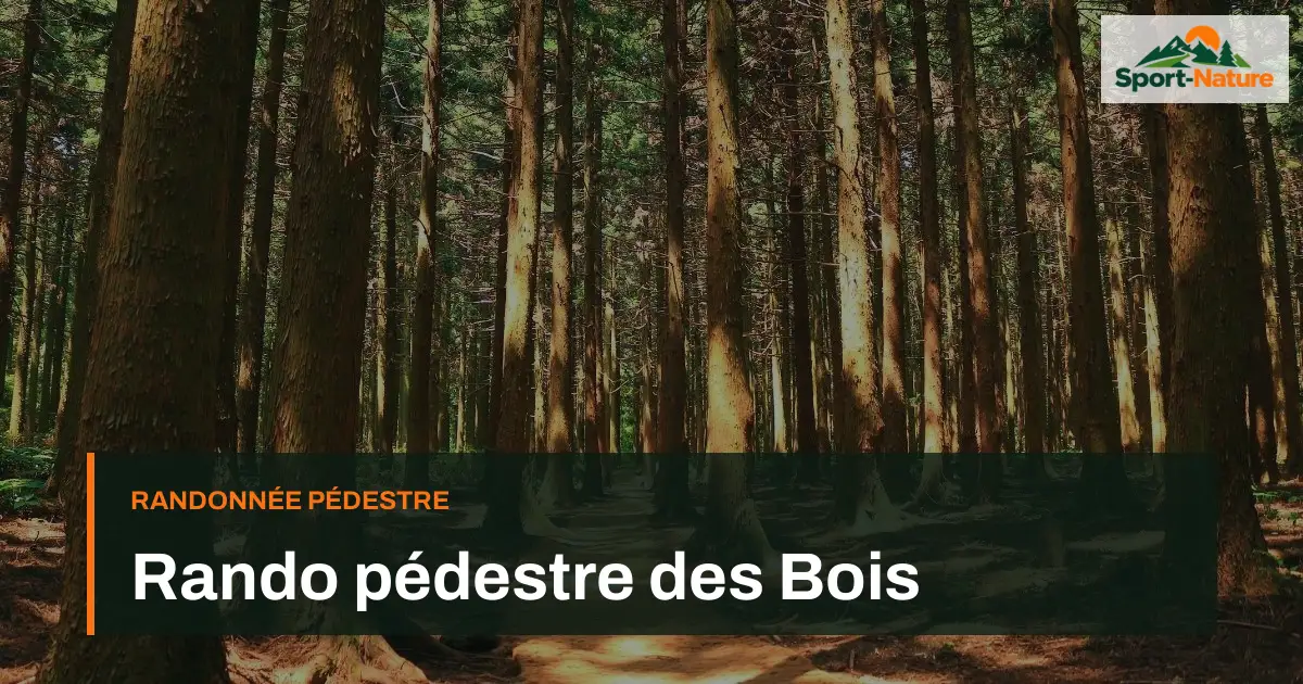 Rando pédestre des Bois