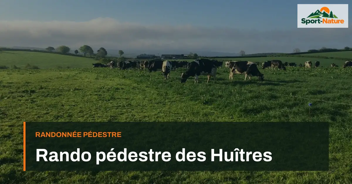 Rando pédestre des Huîtres