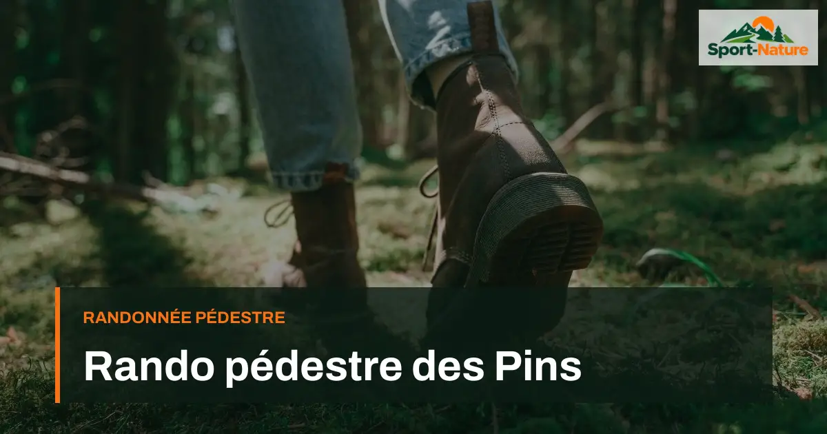 Rando pédestre des Pins