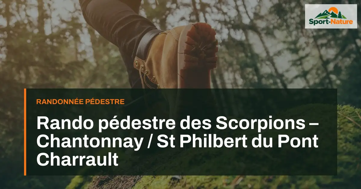 Rando pédestre des Scorpions – Chantonnay / St Philbert du Pont Charrault