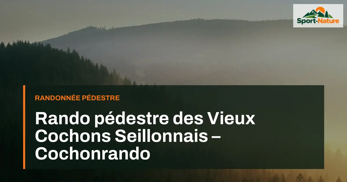 Rando pédestre des Vieux Cochons Seillonnais – Cochonrando