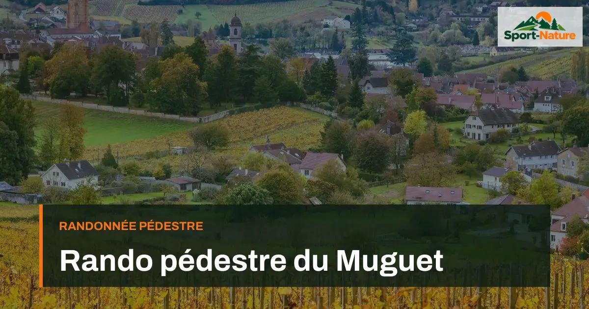Rando pédestre du Muguet