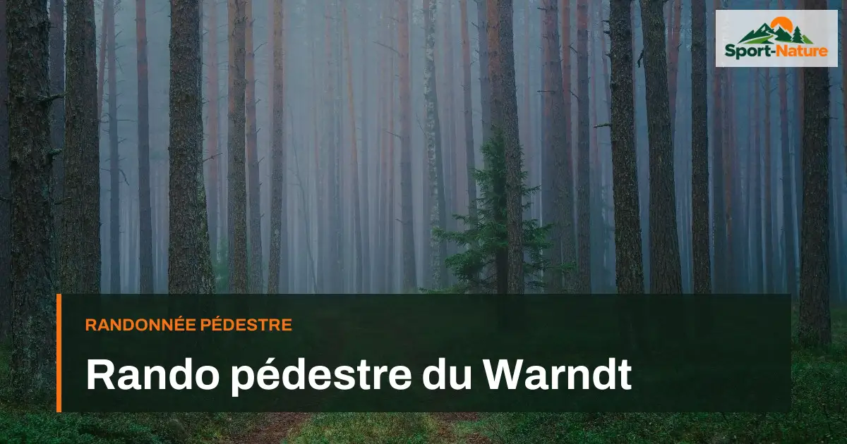 Rando pédestre du Warndt
