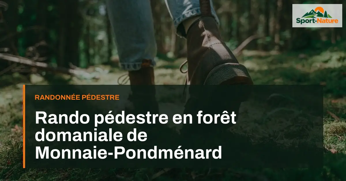Rando pédestre en forêt domaniale de Monnaie-Pondménard