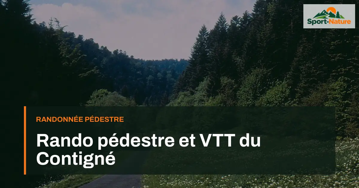 Rando pédestre et VTT du Contigné