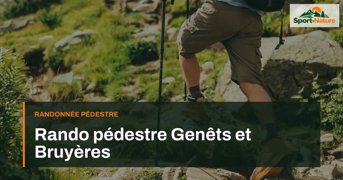 Rando pédestre Genêts et Bruyères