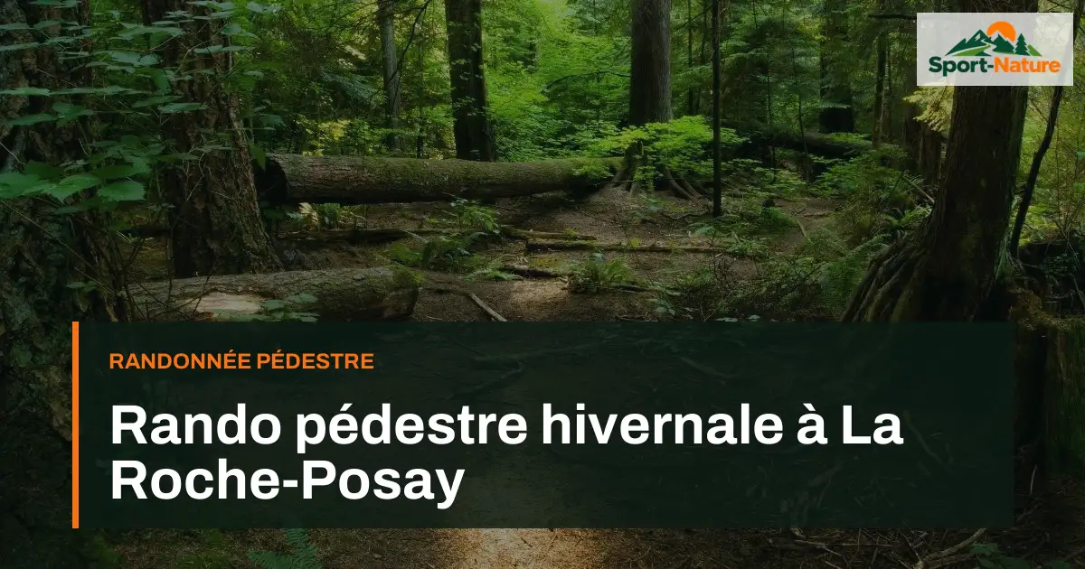 Rando pédestre hivernale à La Roche-Posay