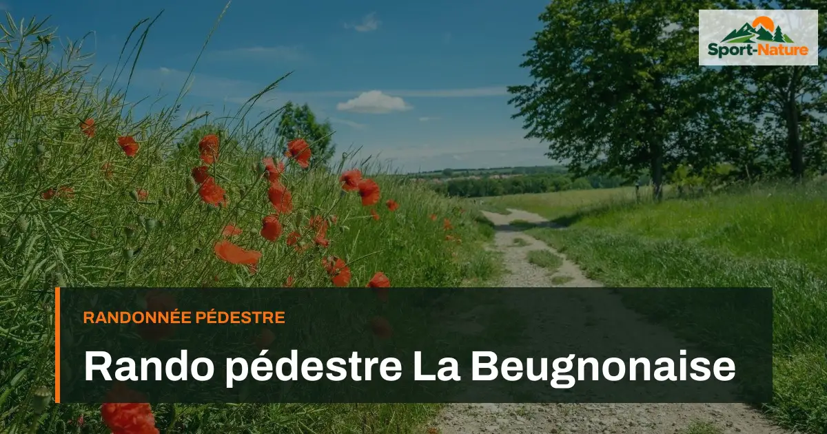 Rando pédestre La Beugnonaise