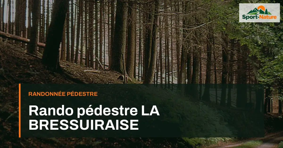 Rando pédestre LA BRESSUIRAISE