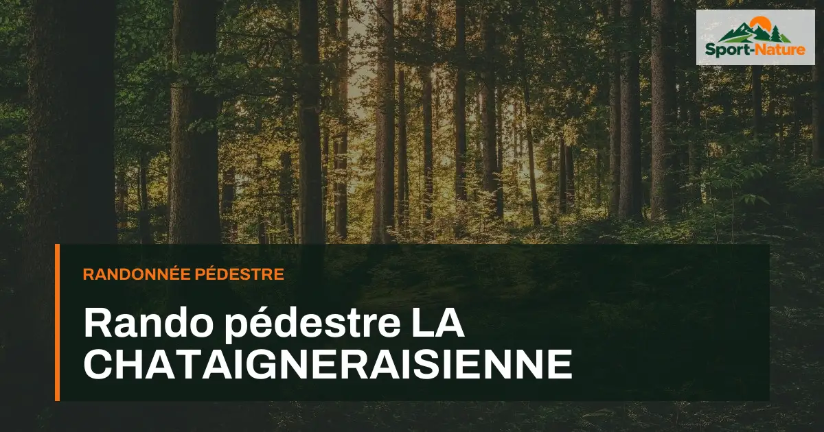 Rando pédestre LA CHATAIGNERAISIENNE