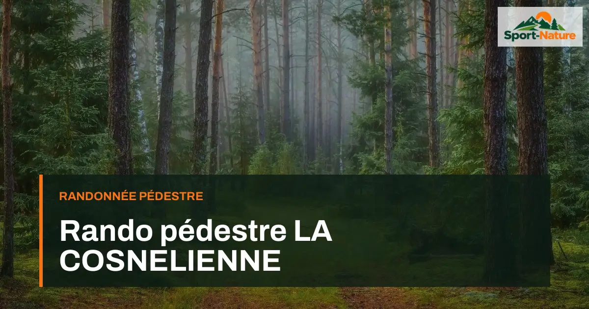 Rando pédestre LA COSNELIENNE