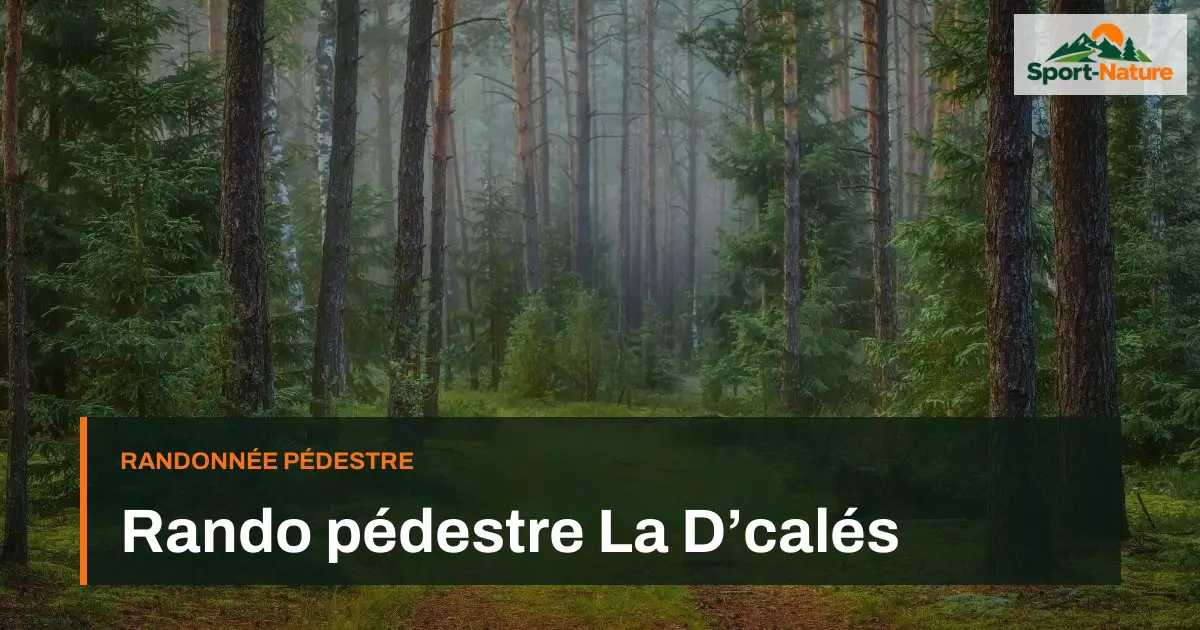 Rando pédestre La D’calés