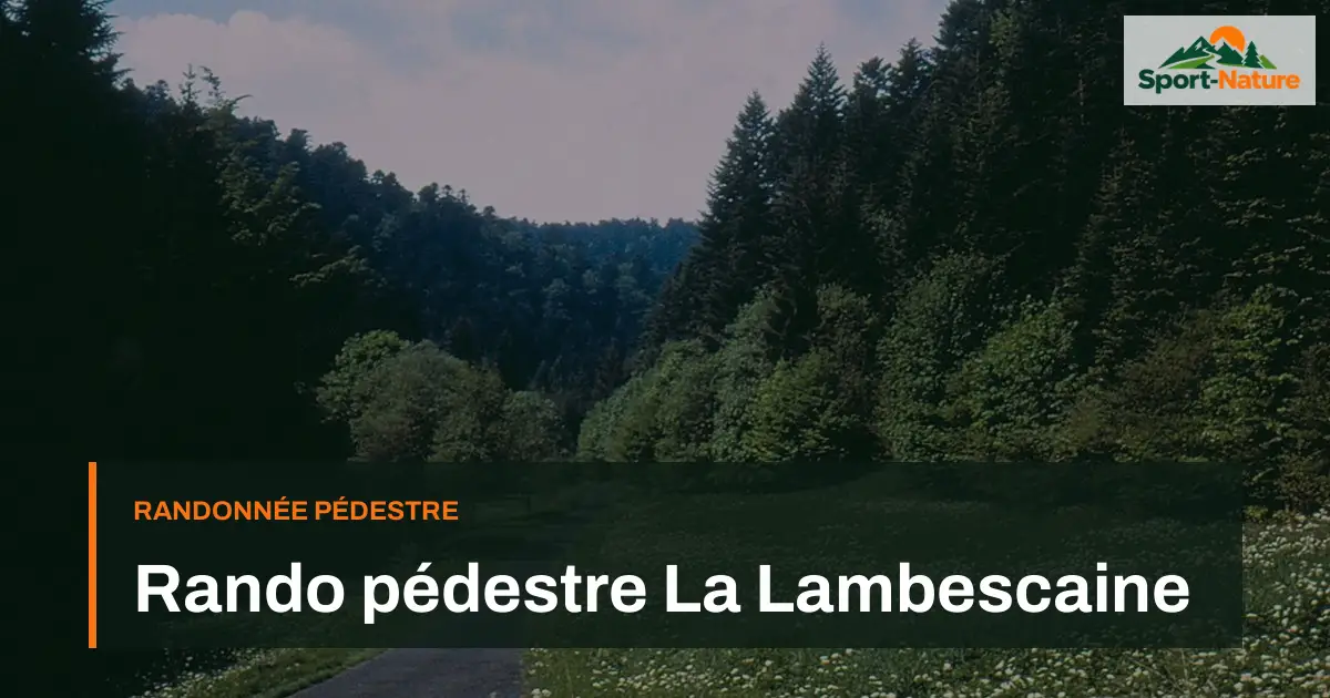 Rando pédestre La Lambescaine