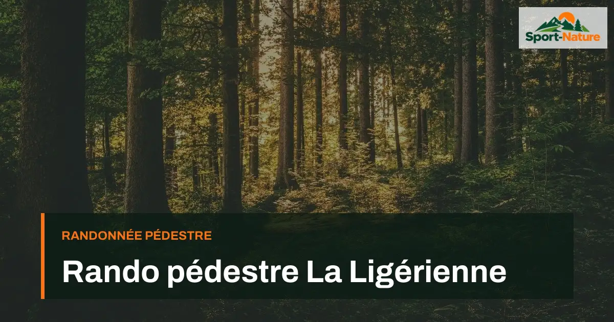 Rando pédestre La Ligérienne