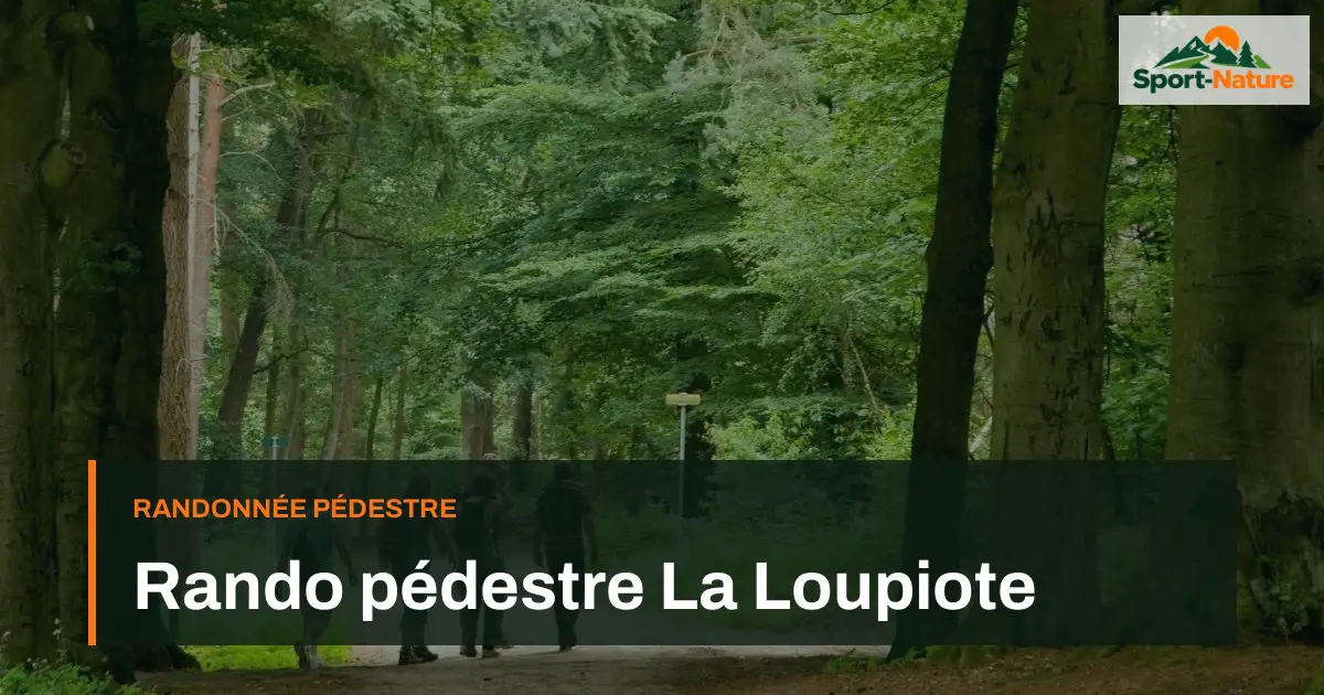 Rando pédestre La Loupiote