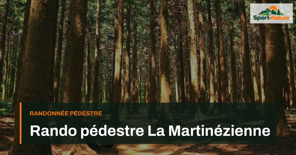 Rando pédestre La Martinézienne