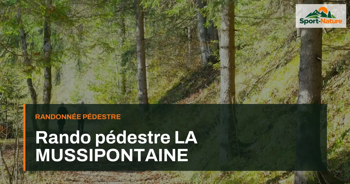 Rando pédestre LA MUSSIPONTAINE
