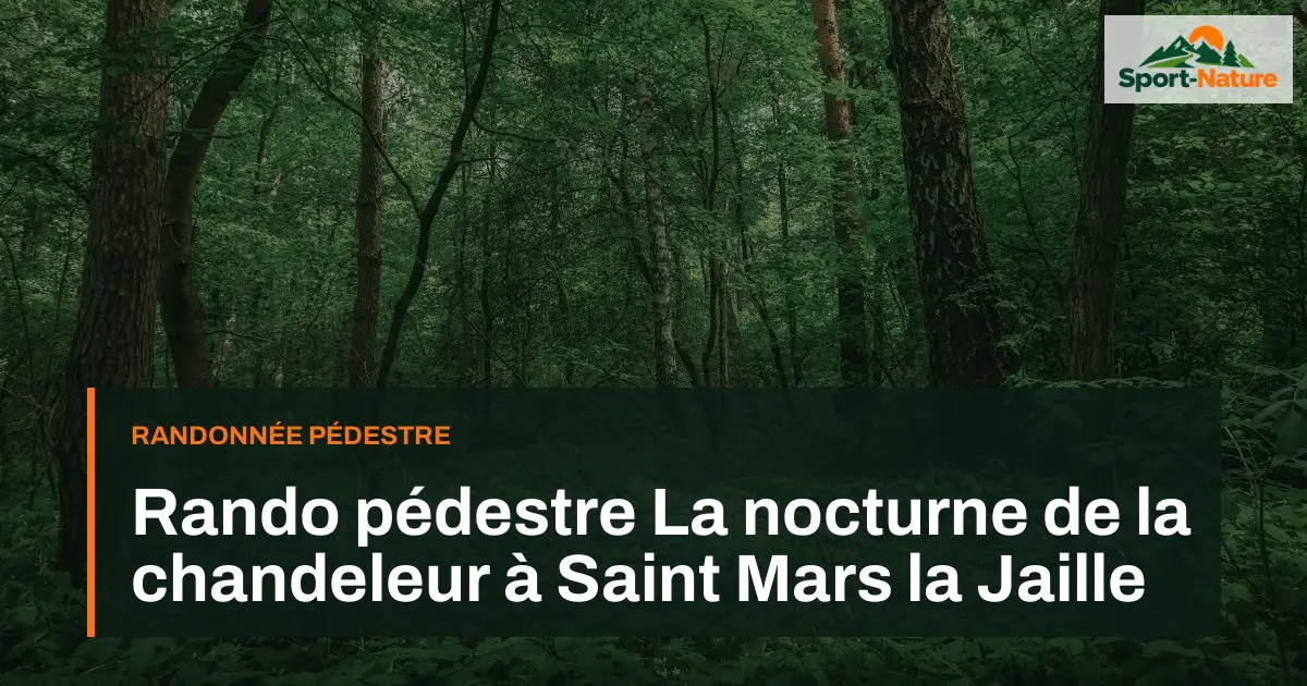 Rando pédestre La nocturne de la chandeleur à Saint Mars la Jaille