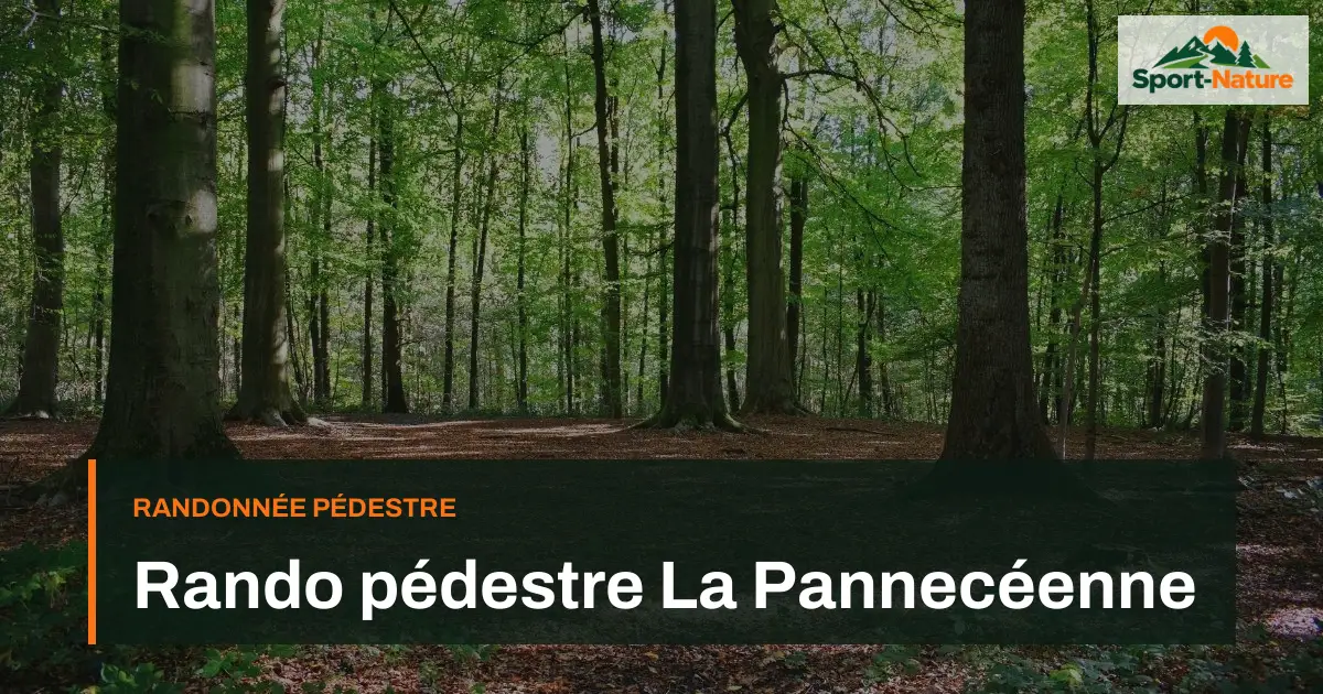 Rando pédestre La Pannecéenne