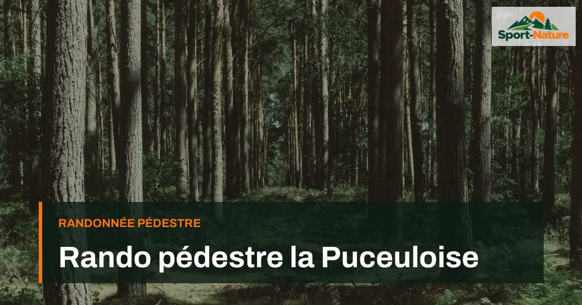 Rando pédestre la Puceuloise