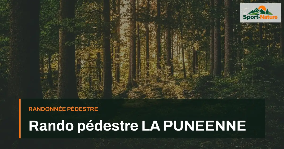 Rando pédestre LA PUNEENNE