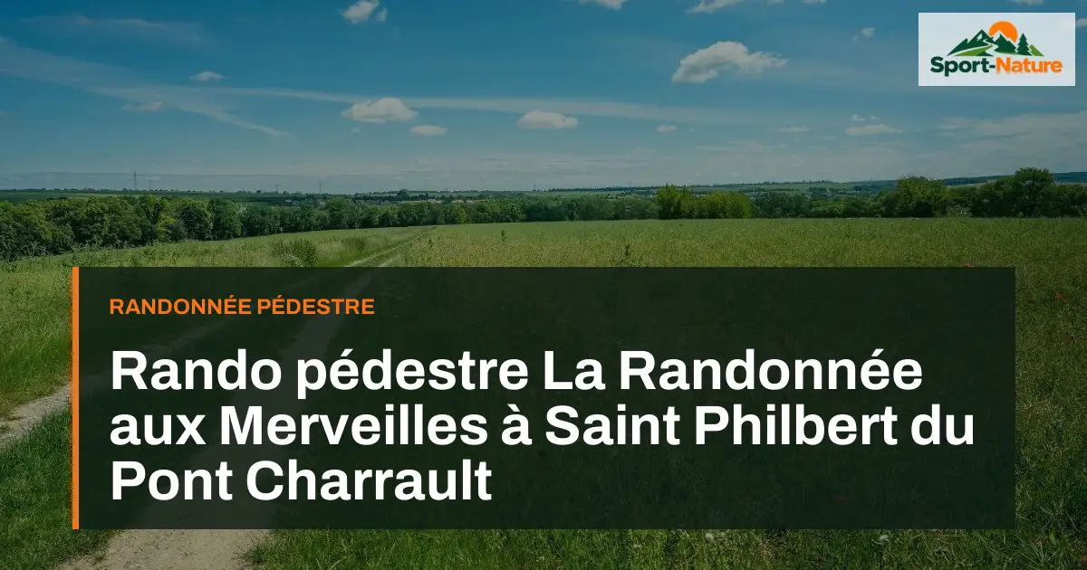 Rando pédestre La Randonnée aux Merveilles à Saint Philbert du Pont Charrault