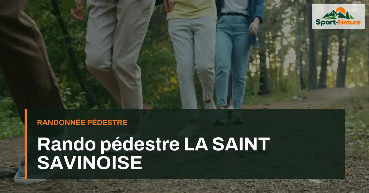 Rando pédestre LA SAINT SAVINOISE