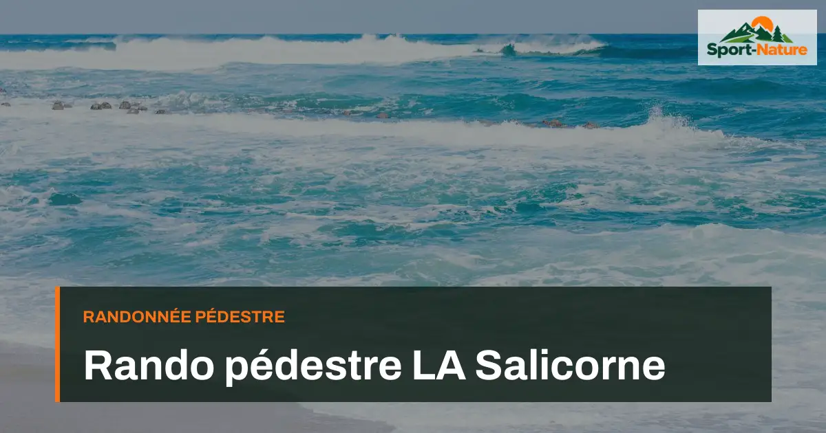 Rando pédestre LA Salicorne