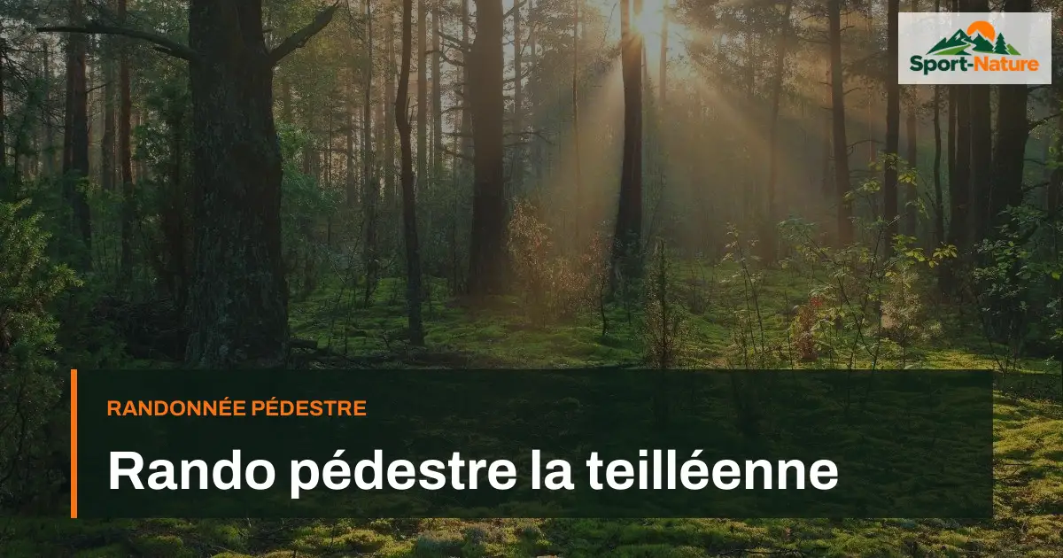 Rando pédestre la teilléenne