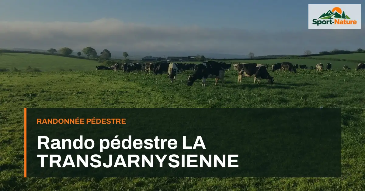 Rando pédestre LA TRANSJARNYSIENNE