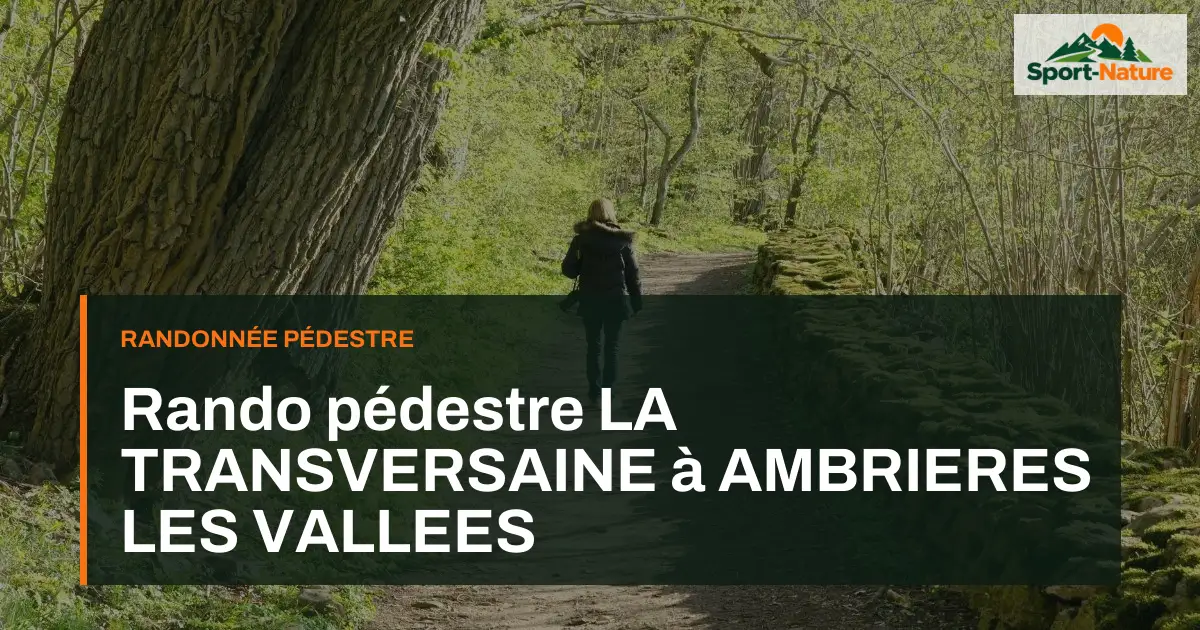 Rando pédestre LA TRANSVERSAINE à AMBRIERES LES VALLEES