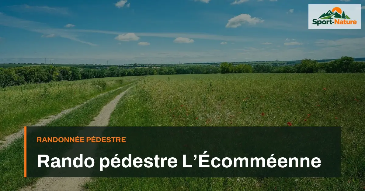 Rando pédestre L’Écomméenne