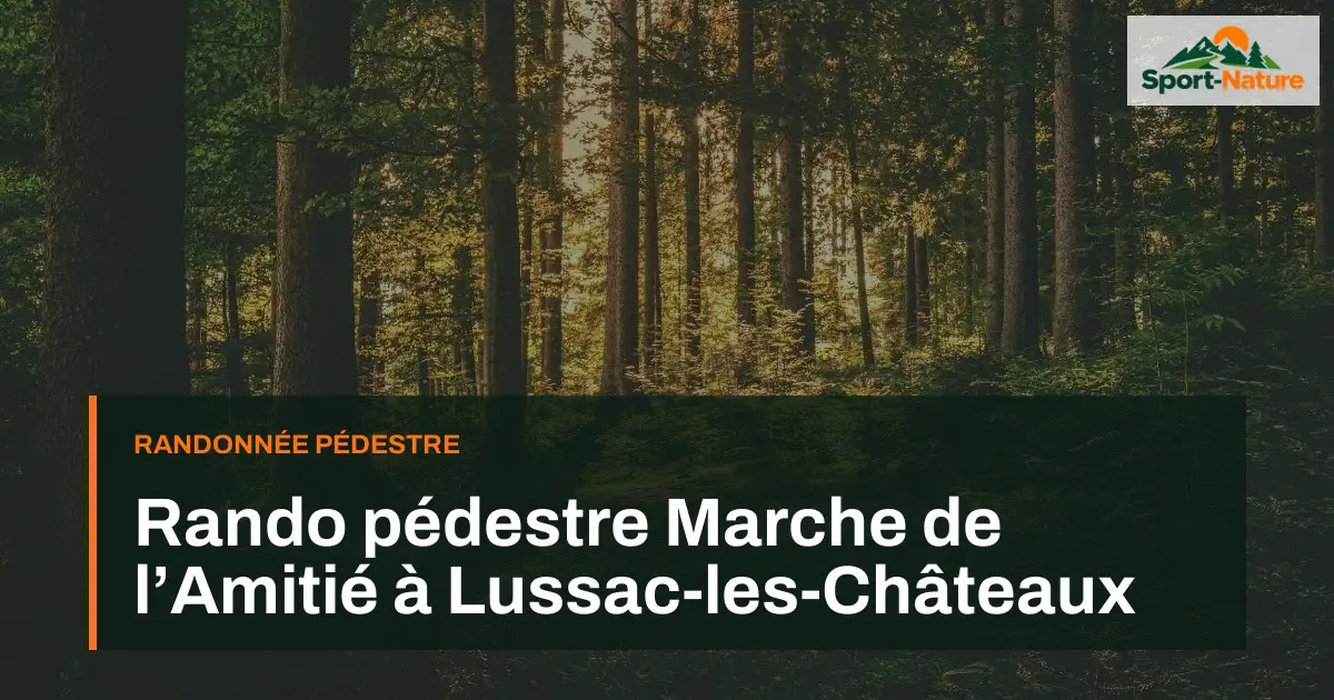 Rando pédestre Marche de l’Amitié à Lussac-les-Châteaux