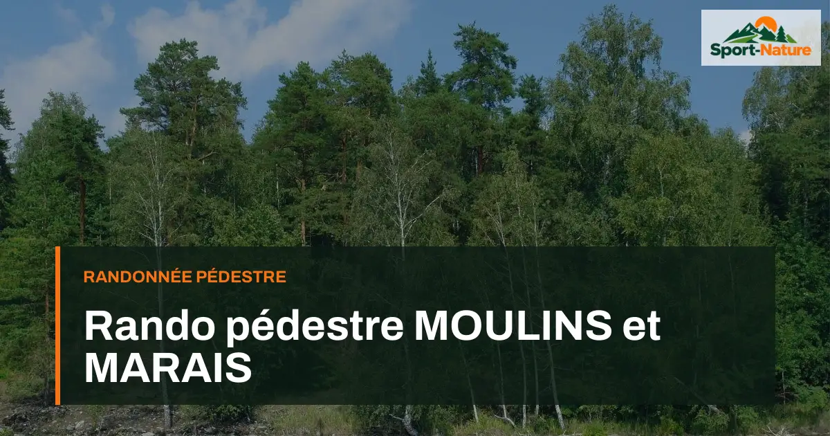 Rando pédestre MOULINS et MARAIS