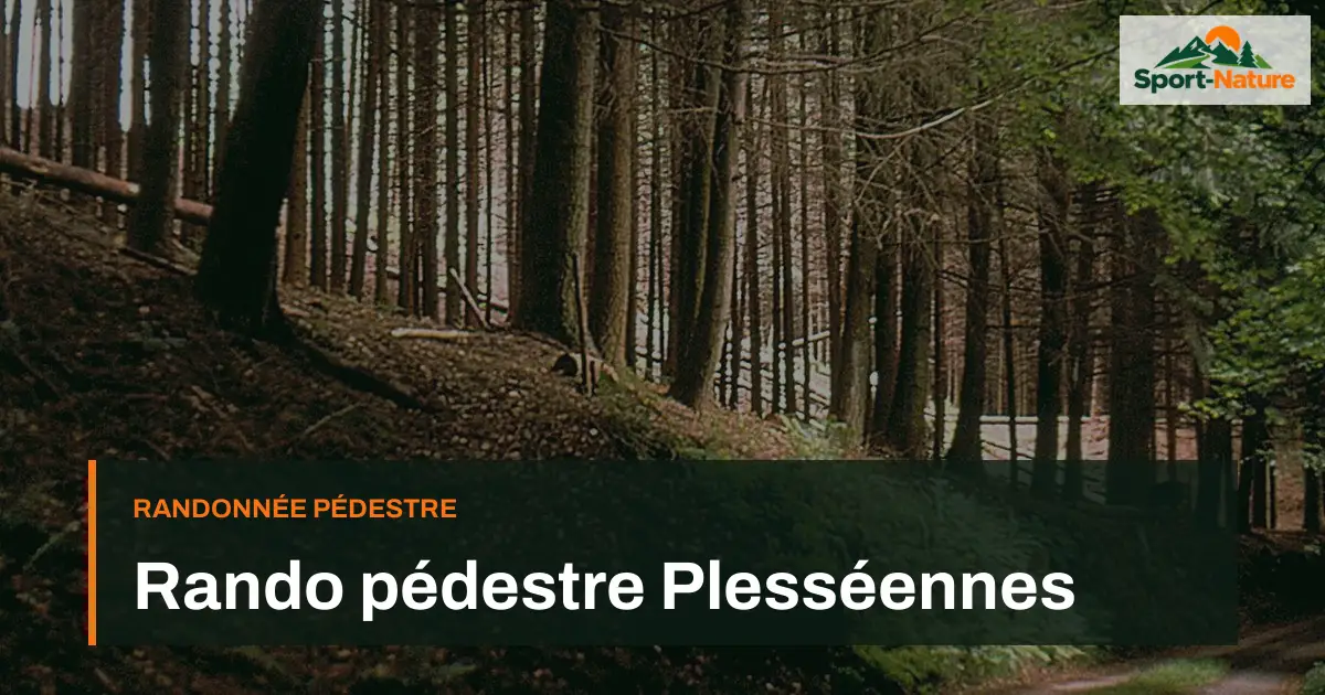 Rando pédestre Plesséennes