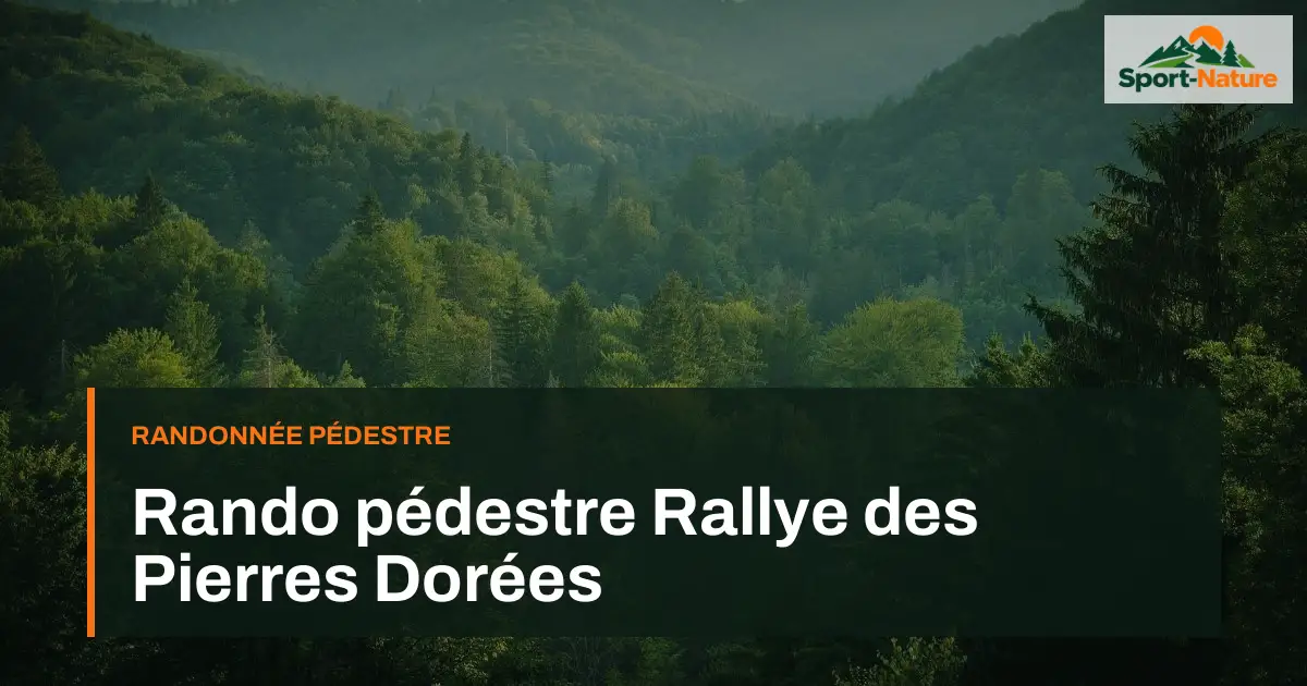 Rando pédestre Rallye des Pierres Dorées